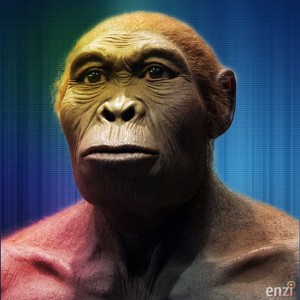 Homo habilis | Enzi